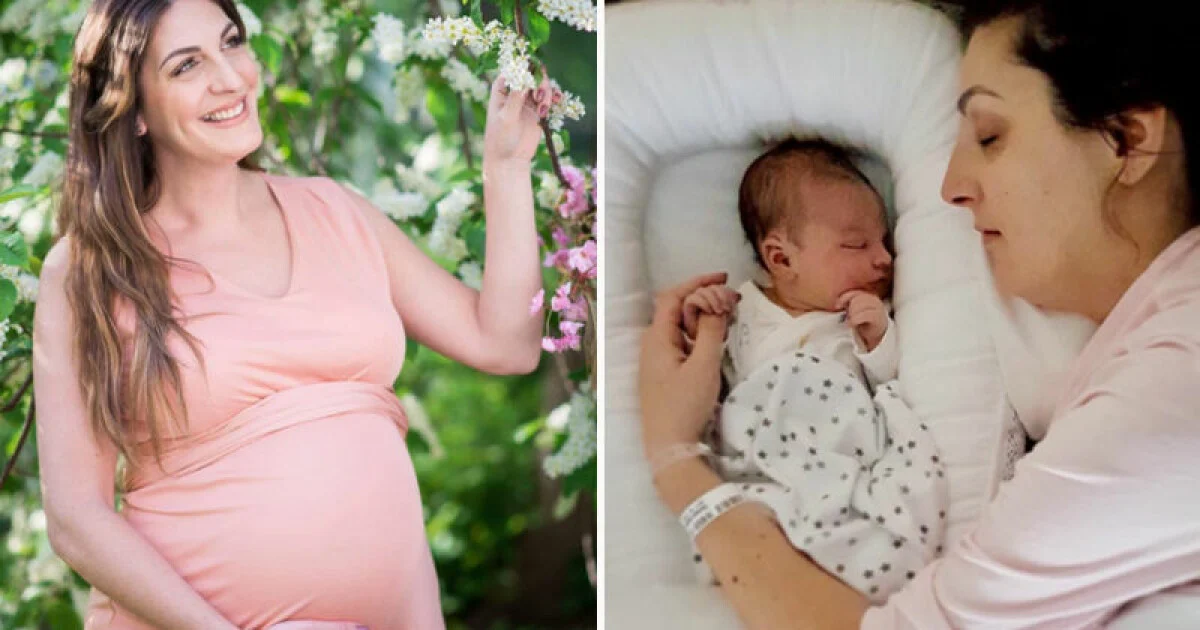 Soraya Lavasani Barn