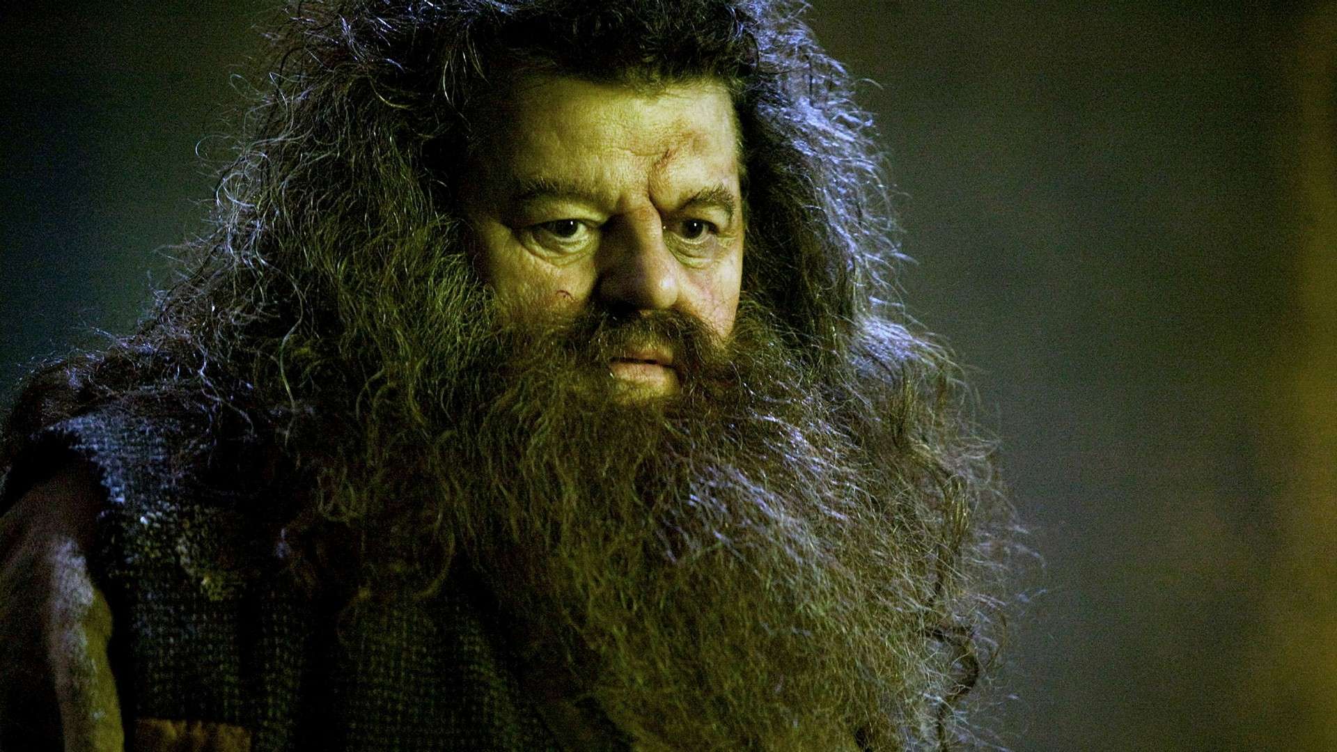 Harry Potter Stjärna Död