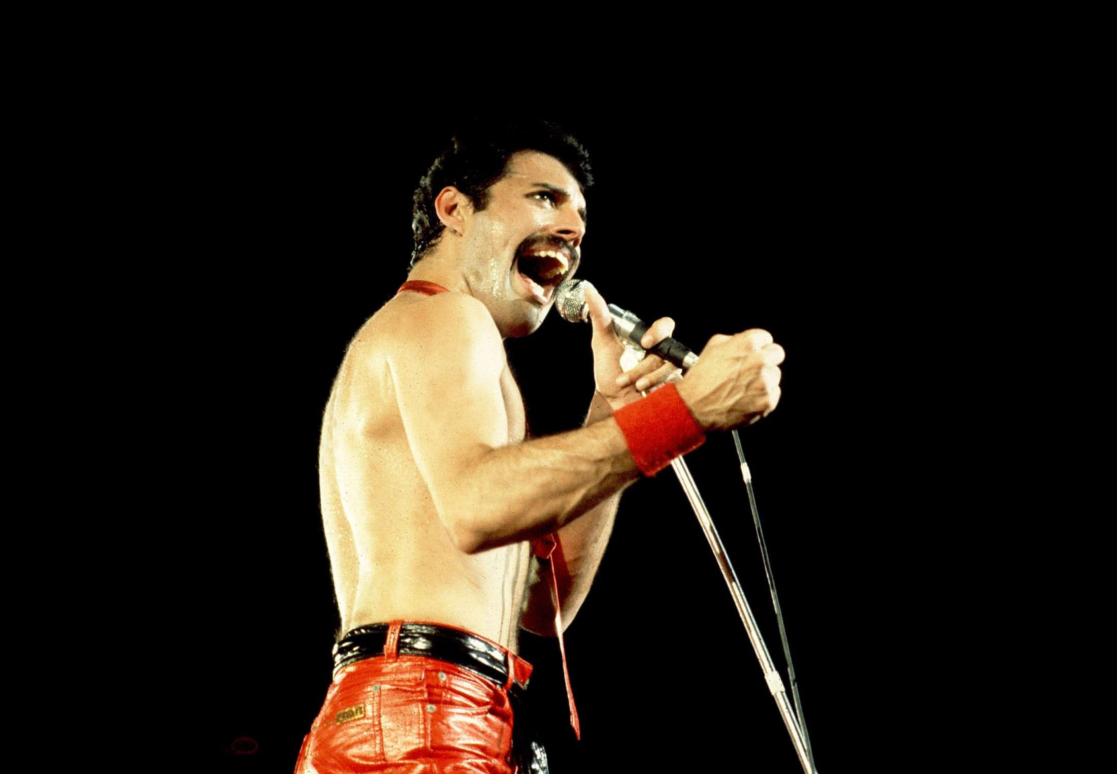 Freddie Mercury Död